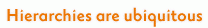 Hierarchies are ubiquitous