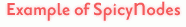 Example of SpicyNodes