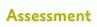Assessment