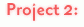 Project 2:
