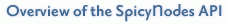Overview of the SpicyNodes API