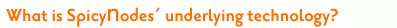 What is SpicyNodes&rsquo; underlying technology?