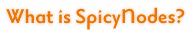 What is SpicyNodes?