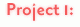Project 1: