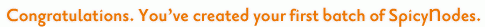 Congratulations. You've created your first batch of SpicyNodes.