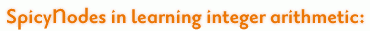SpicyNodes in learning integer arithmetic: