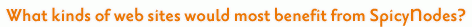What kinds of web sites would most benefit from SpicyNodes?