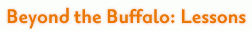 Beyond the Buffalo: Lessons