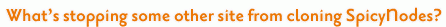 What's stopping some other site from cloning SpicyNodes?