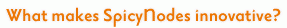 What makes SpicyNodes innovative?