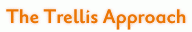 The Trellis Approach